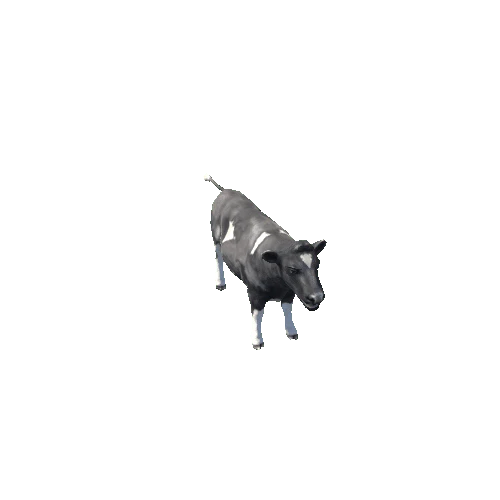 Cow LP